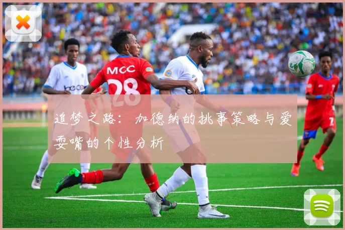 追梦之路：加德纳的挑事策略与爱耍嘴的个性分析